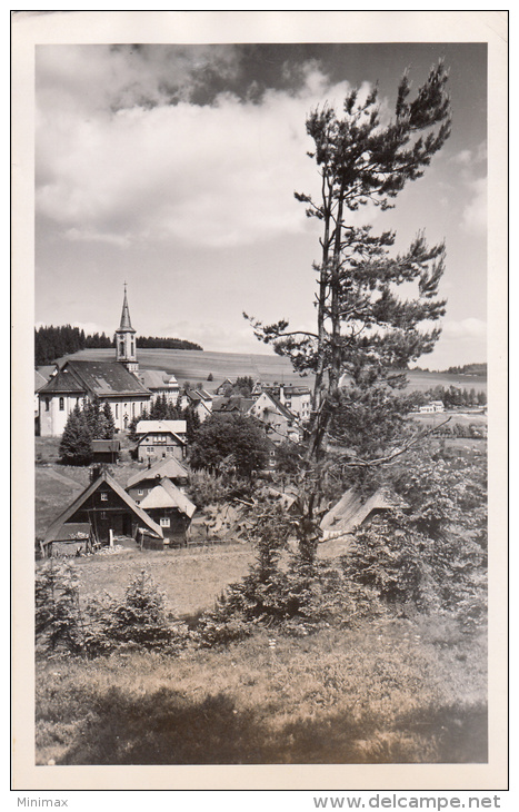 Carte Photo - Wunsiedel , 1950 - Wunsiedel