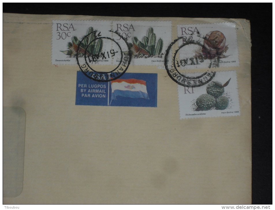 LETTRE AFRIQUE DU SUD SOUTH AFRICA - YT 668 X 2 673 674 - FLORE FLEUR PLANTE - - Lettres & Documents