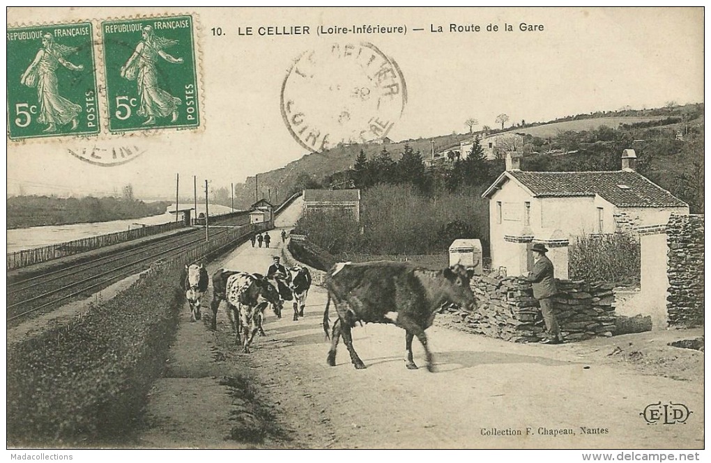 Le Cellier  (44)  La Route De La Gare - Le Cellier