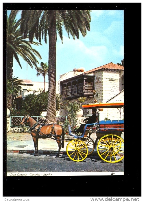 Islas Canarias : LAS PALMAS DE GRAN CANARIA : Casa Del Turismo Calèche Attelage Cheval Horse - La Palma