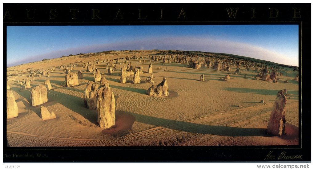 (145) Australia - WA - The Pinnacles - Outback