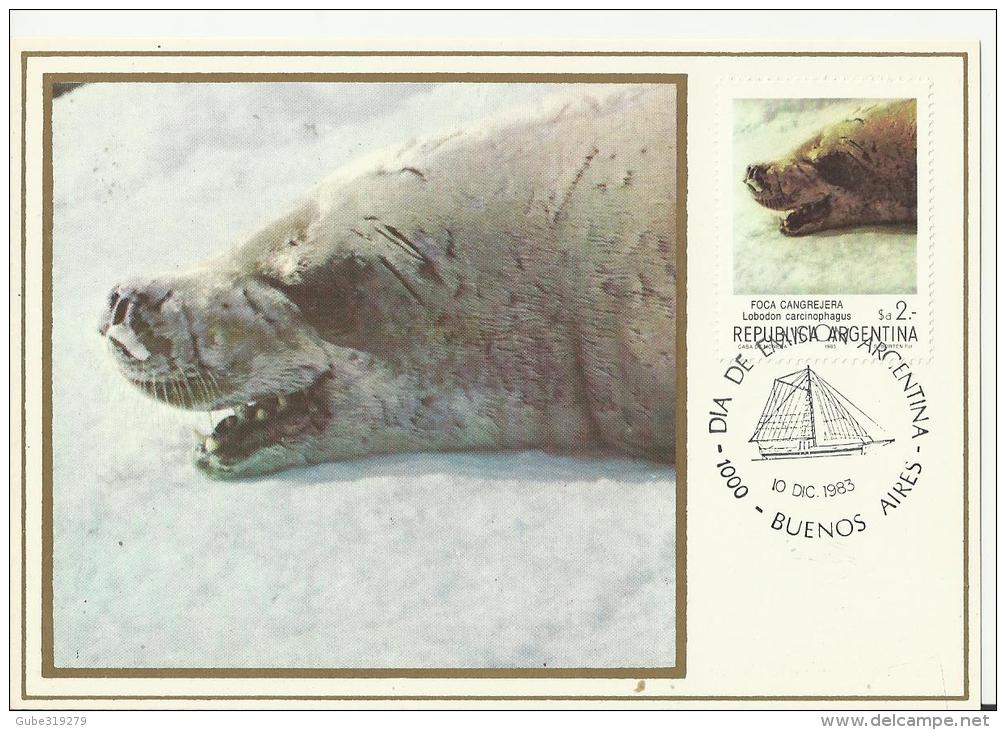 ARGENTINA 1983 – MAXIMUM CARD F.D.ISSUE ANTARTIC FAUNA  – FOCA CANGREJERA – LOBODON CARCINOPHAGUS NEW W 1 ST OF 2 $ POST - FDC