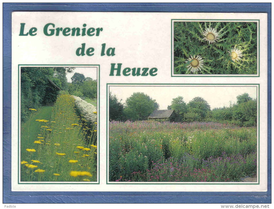 Carte Postale 76. Bellencombre  Le Grenier De La Heuze  L.L Varin Producteur De Fleurs Séchées Trés Beau Plan - Bellencombre