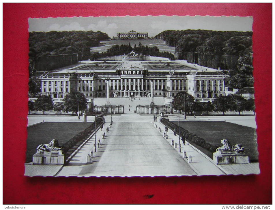 CPSM PHOTO  AUTRICHE  WIEN VIENNA  VIENNE  CHATEAU DE SCHOENBRUNN  NON VOYAGEE CARTE EN BON ETAT - Schloss Schönbrunn