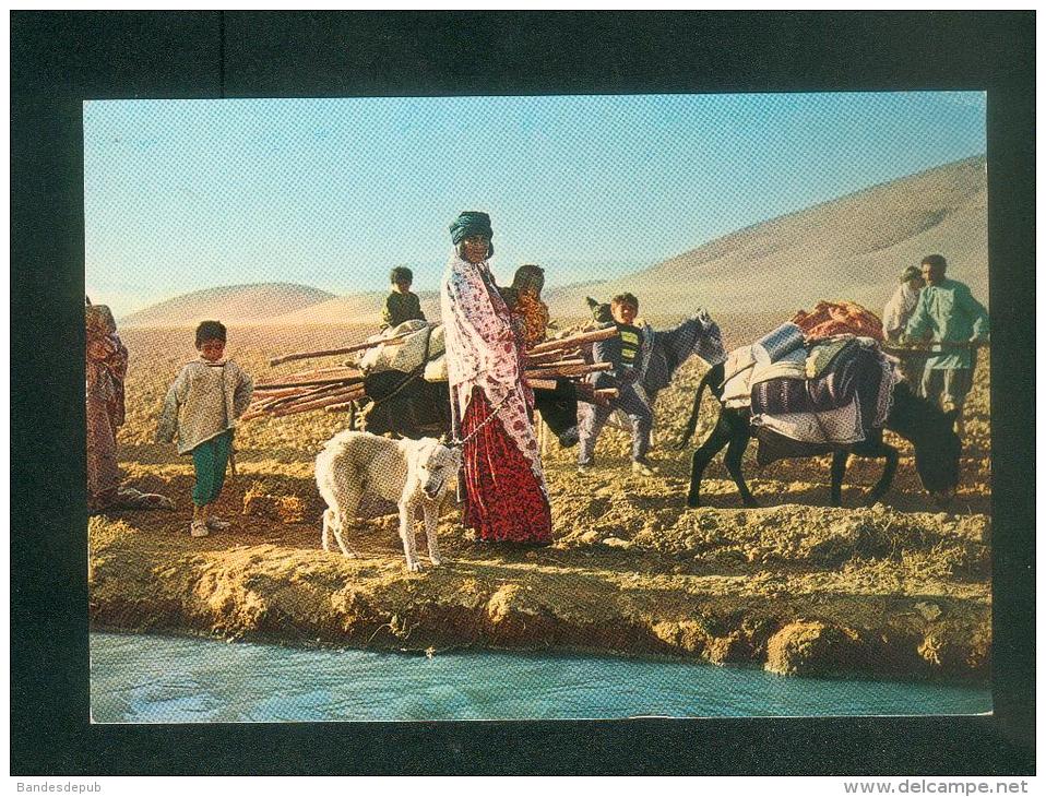 CPSM  - Iran - Native Dress ( Animée A. D. Khazravi) - Iran