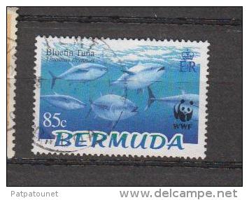 Bermudes YV 884 O 2004 WWF Thon - Used Stamps