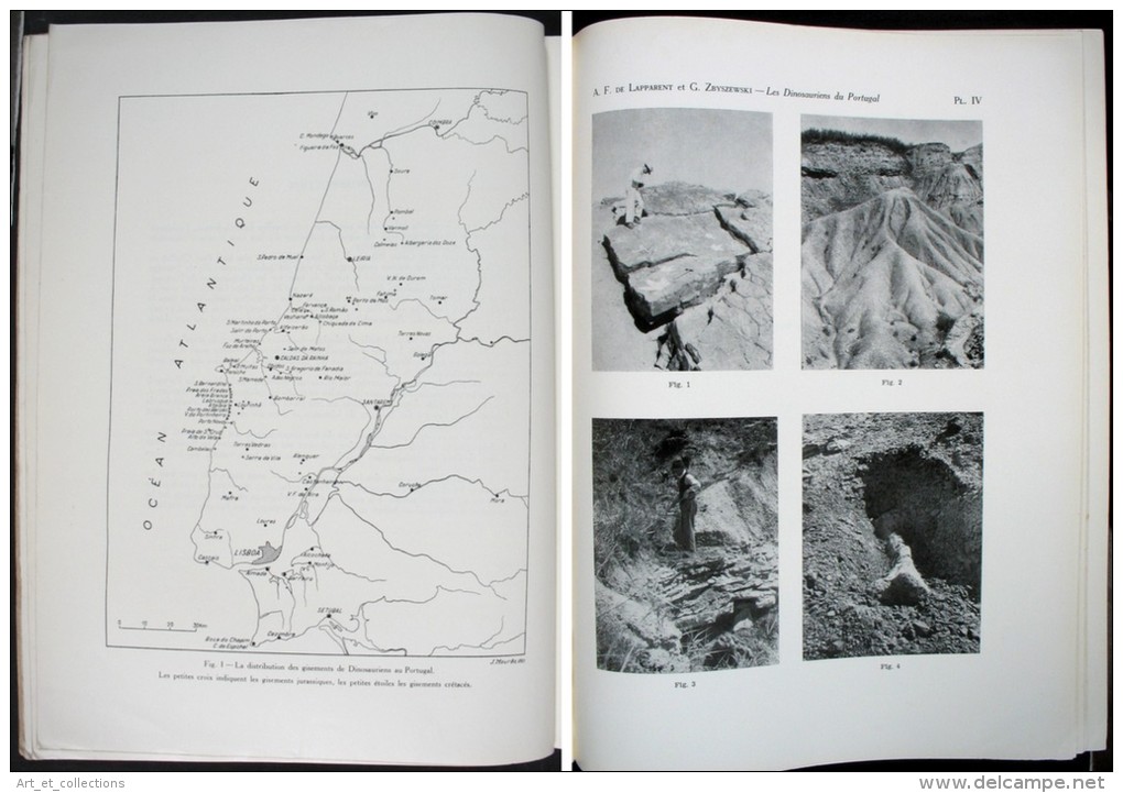 Les Dinosauriens Du Portugal /  Albert F. De Lapparent Et Georges Zbyszewski / Lisbonne 1957 - Arqueología