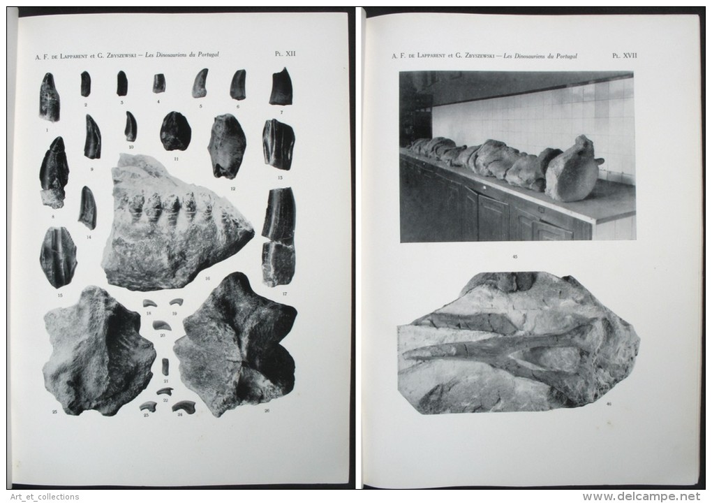 Les Dinosauriens Du Portugal /  Albert F. De Lapparent Et Georges Zbyszewski / Lisbonne 1957 - Arqueología