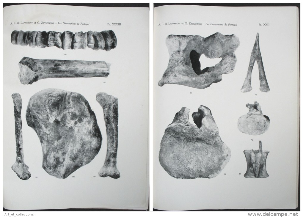 Les Dinosauriens Du Portugal /  Albert F. De Lapparent Et Georges Zbyszewski / Lisbonne 1957 - Arqueología