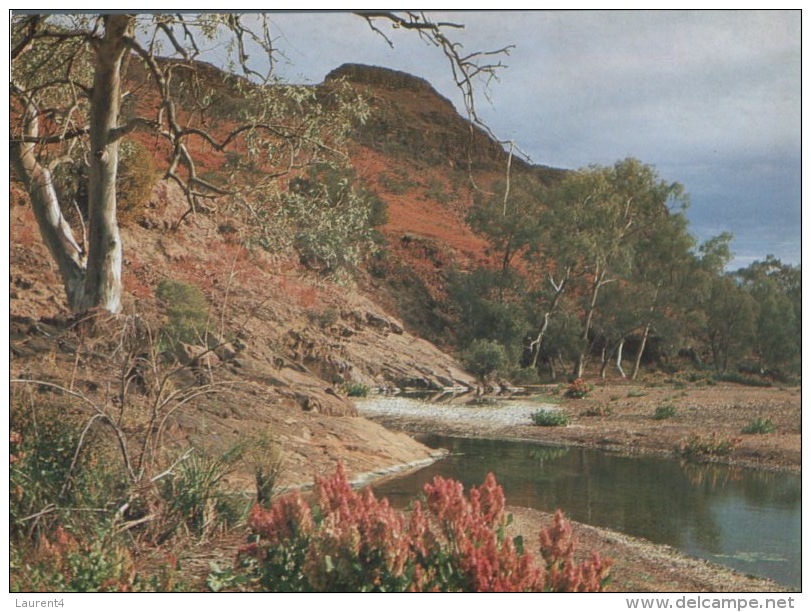 (400) Australia - SA - Flinders Range - Flinders Ranges