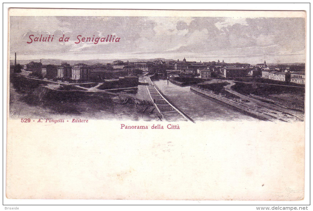 SENIGALLIA ANCONA PANORAMA DELLA CITTA' F/P NON VIAGGIATA - Senigallia