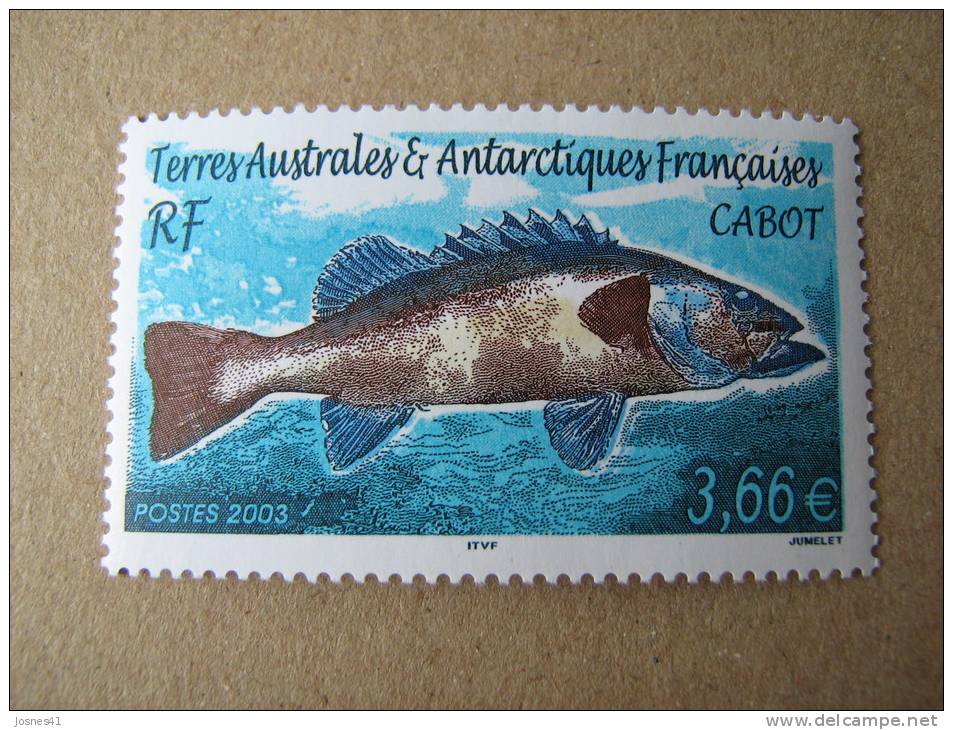 TAAF 2003   P 359 * *    FAUNE   POISSON - Unused Stamps