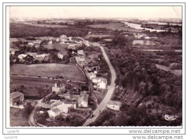 BASSE GOULAINE - Vue Générale - La Loire - Haute-Goulaine