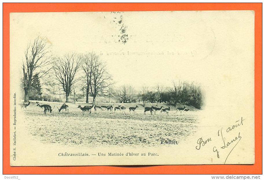 Dpt  52  Chateauvillain  "  Une Matinee D'hiver Au Parc  " Carte Precurseur 1902 - Chateauvillain