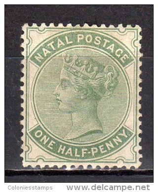(SA0309) NATAL, 1898 (Queen Victoria, ½ P., Blue Green). Mi # 43. Mint Hinged* Stamp - Natal (1857-1909)