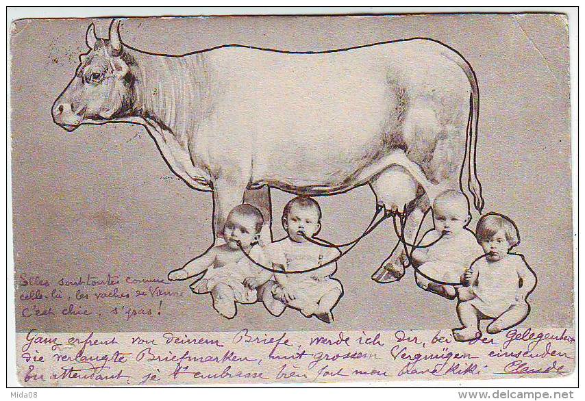 FANTAISIES. ILLUSTRATEURS. BEBES MULTIPLES.ENFANTS RELIES PAR DES TUYAUX AUX PIS DE LA VACHE ET TETANT. - 1900-1949