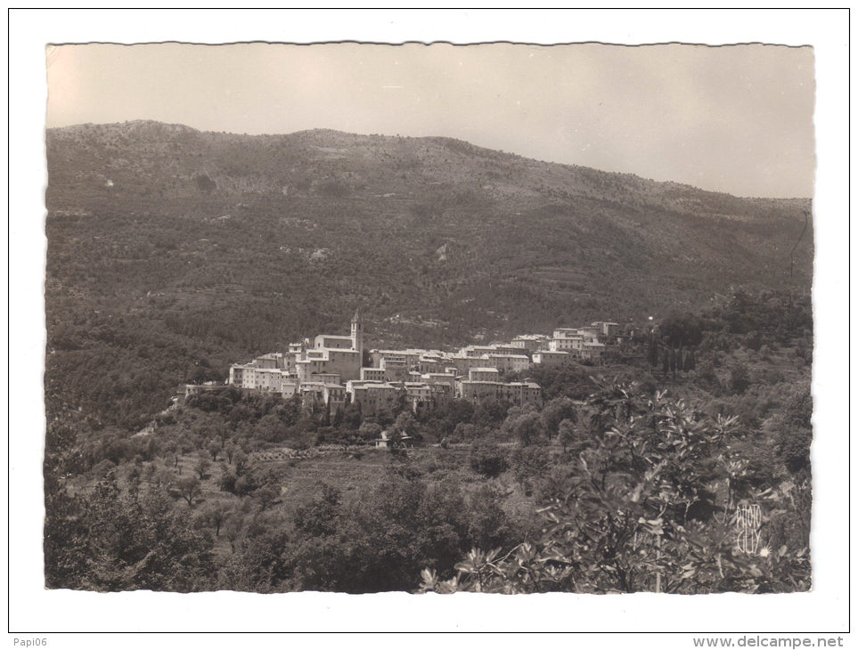 06.- CONTES-LES-PINS. Alt 325 M. Vue Générale - Contes