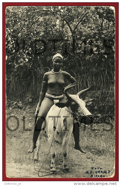 GUINE BISSAU - COSTUMES - MULHER MONTANDO UM BOI - 1950  REAL PHOTO  PC - Guinea-Bissau