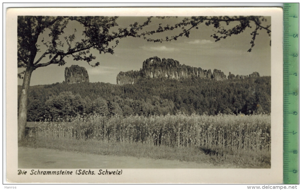 Sächs. Schweiz, Die Schrammsteine Um 1940/1950, Verlag: H. Sander, Berlin, POSTKARTE, Erhaltung: I-II - Bastei (sächs. Schweiz)