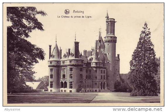 D10 - BELGIQUE - ANTOING - Le Château Du Prince De LIGNE - Nels Bourgies à Antoing - Antoing