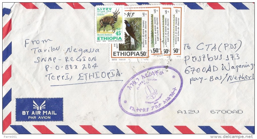 Ethiopia 2007 White Tailed Swallow Endemic Bird Cover - Schwalben