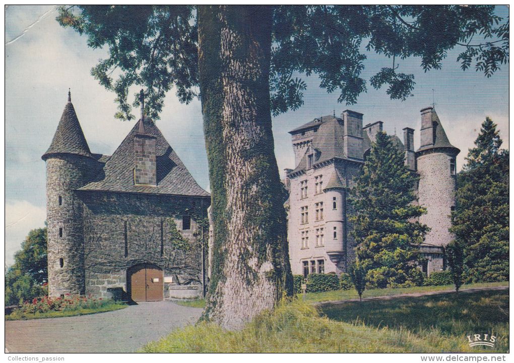 Cp , 15 , POLMINHAC , Vallée De La Cère , Le Château De Pesteils XVe XVIe Et XVIIe Siècle - Sonstige & Ohne Zuordnung