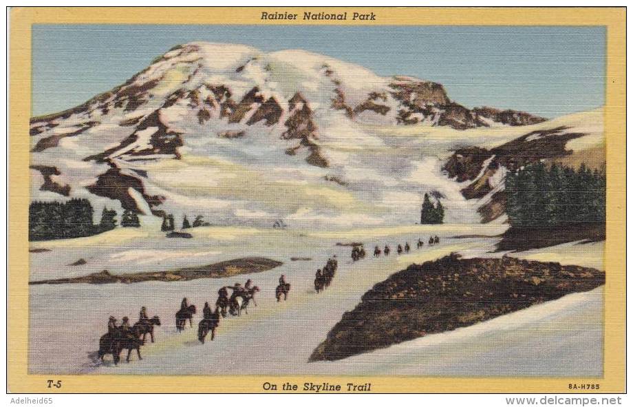 013C/ Ca 1935 Washington Rainier National Park  Horse Trips Chevaux Paarden - Tacoma