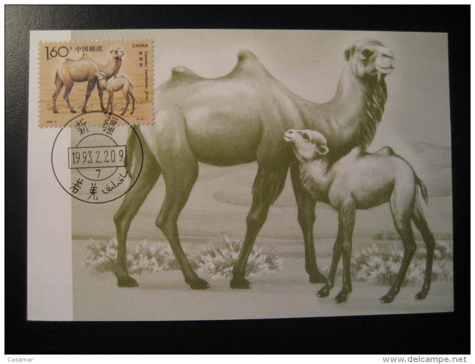 CHINA CHINE 1993 Camel Dromedary Maxi Maximum Card - Lettres & Documents