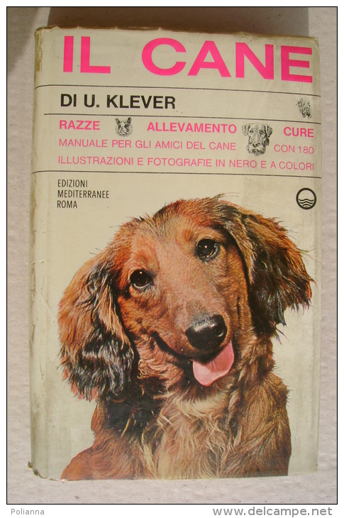 PFN/15 U.Klever IL CANE -RAZZE -ALLEVAMENTO -CURE Edizioni Mediterranee 1959/COLLIE/TERRIER - Pets