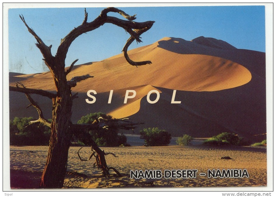 Star Sand Dune At Sossusvlei In Namib Naukluft Park  Voir 2 Scans Voyagé En1996 - Namibia