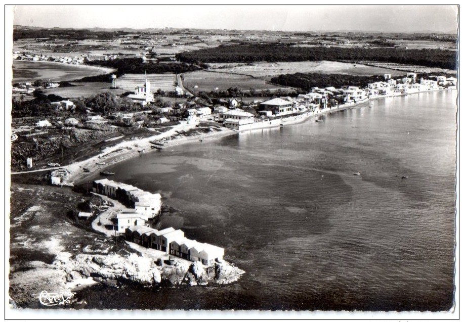 CPSM SIDI FERRUCH VUE AERIENNE - Alger