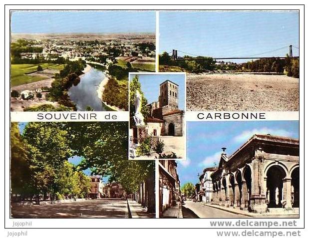 Carbonne - Multi-vues: Vue Générale, Le Pont, église, Préau, Halle Et Grand Rue - Autres & Non Classés