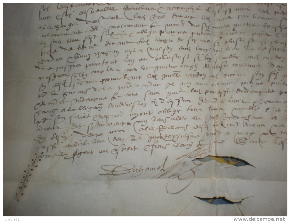 GRAND PARCHEMIN 16 EME SIECLE 1579 Concerne JEAN LAMI DE GUILLAUMET NORMANDIE - Manuscrits