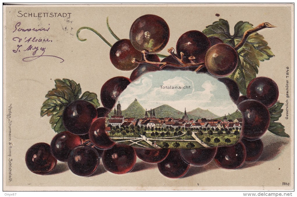 SELESTAT-SCHLETTSTADT (Bas-Rhin)  Vue Lithographie-Fantaisie-Gr Appe Raisin-VIN- VIGNE - Précurseur - VOIR 2 SCANS - - Selestat