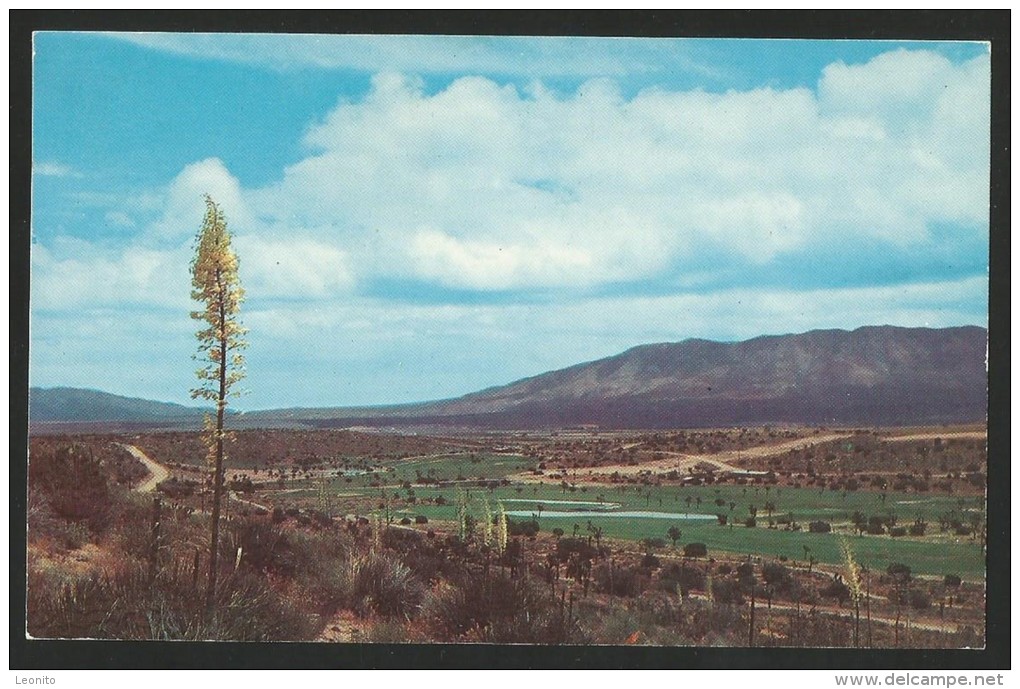 HESPERIA GOLF And COUNTRY CLUB From Observation Point Desert Yucca San Bernardino California - San Bernardino