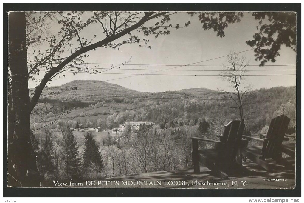 FLEISCHMANNS View From DE PITT'S MOUNTAIN LODGE New York Catskills Delaware Middletown 1952 - Catskills