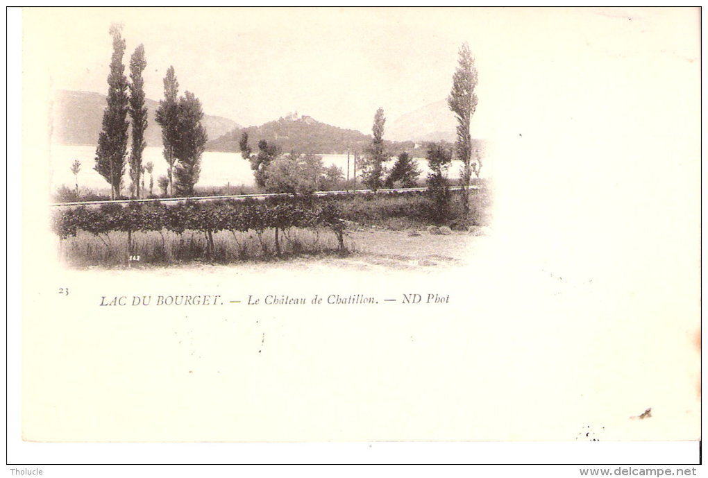 Type Mouchon-10c Rose YT 112-1902-Oblitération Aix Les Bains -sur CPA -Lac Du Bourget-Château De Chatillon-ND Photo-scan - 1900-02 Mouchon