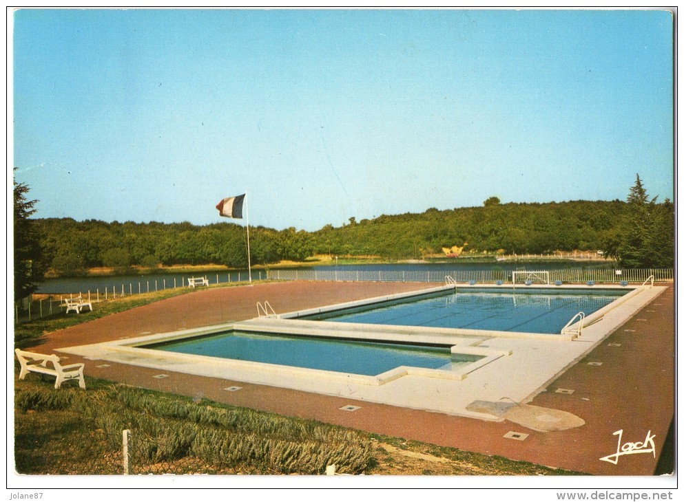 CPSM    44        SAVENAY          LA PISCINE       LES 2 BASSINS - Savenay