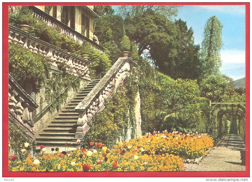 CARTOLINA NV ITALIA - LAGO DI COMO (CO) - Villa Carlotta - Scalinata  - 10 X 15 - PERFETTA - Como