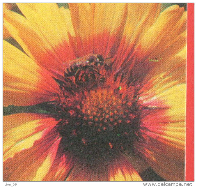 134063 / Bee Are Flying Insects Abeille Bienen W FLOWERS FLEURS BLUMEN - 1977 Bulgaria Bulgarie Bulgarien Bulgarije - Insetti