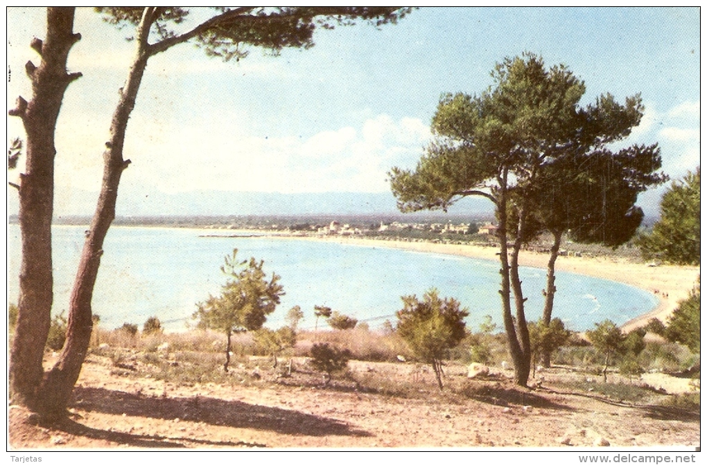 POSTAL DE SALOU DE LA PLAYA VISTA DESDE UN PINAR (RAYMOND) - Tarragona