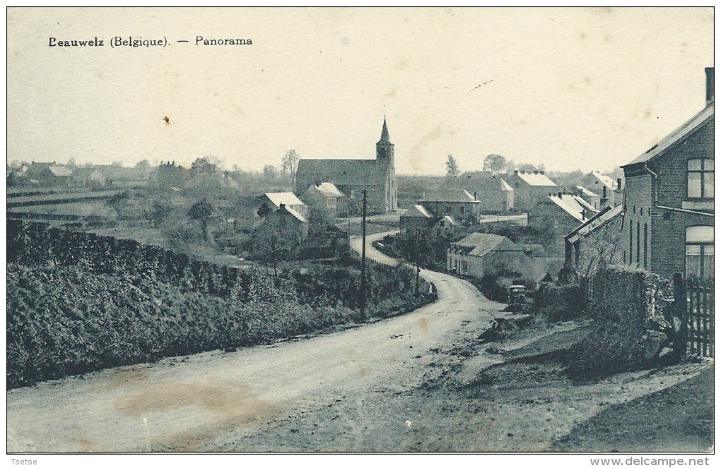 Beauwelz - Panorama ... Du Village - 1930  ( Voir Verso ) - Momignies
