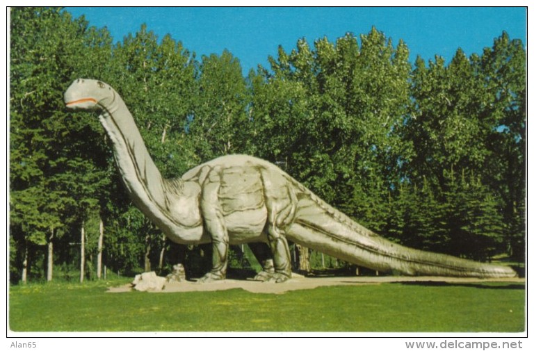 Calgary Alberta Canada, Zoo And Dinosaur Park Sculpture, St. George's Island, C1950s Vintage Postcard - Calgary