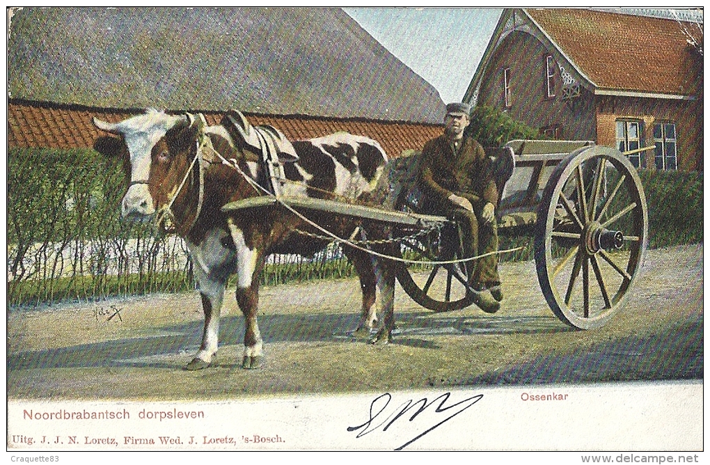 Noordbrabantsch Dorpsleven     Ossenkar - Sonstige & Ohne Zuordnung