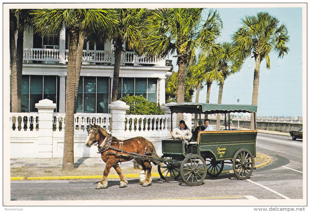 CP CHARLESTON US SOUTH CAROLINE STREET SCENE ATTELAGE EAST BATTERY HORSE - Charleston