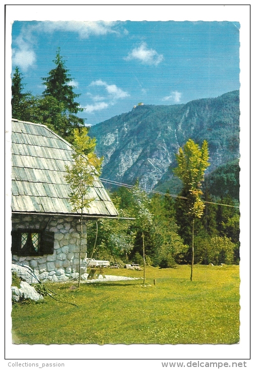 Cp, Slovénie, Bohinj, UKanc, Voyagée - Slovenia