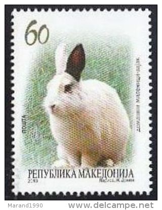 MACEDONIA, 2013, MICHEL 650, RABBIT # - Conejos