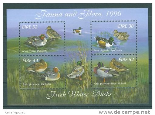 Ireland - 1996 Ducks Block MNH__(TH-6963) - Hojas Y Bloques