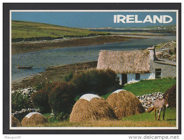 DF / IRLANDE / COMTE DE GALWAY / CONNEMARA / PAYSAGE ET FERME - Galway