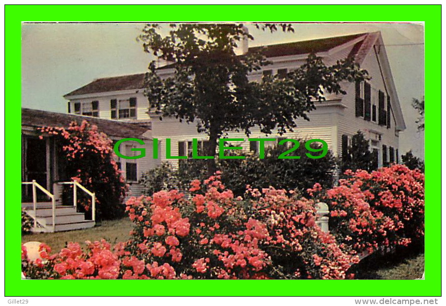 CAPE COD, MA - CHATHAM, ROSES ON CAPE COD - TRAVEL IN 1954 - - Cape Cod